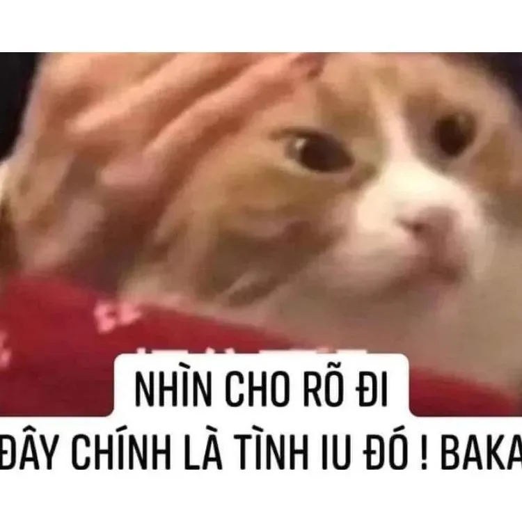 Meme tình yêu 29