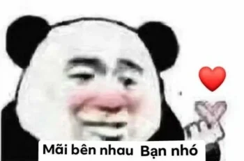 Xem ngay bộ sưu tập hình ảnh meme tình yêu độc đáo, ấn tượng