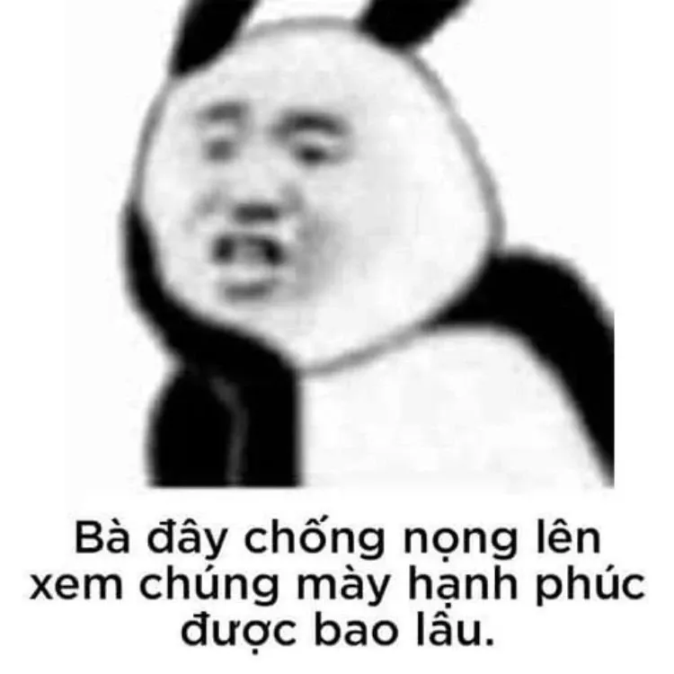 Meme Trung Quốc 02