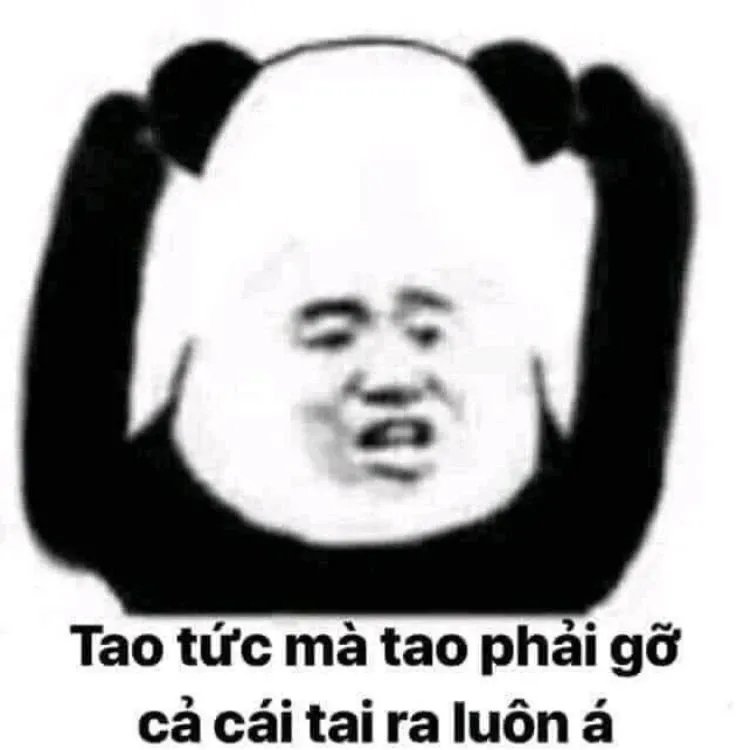 Meme Trung Quốc 21