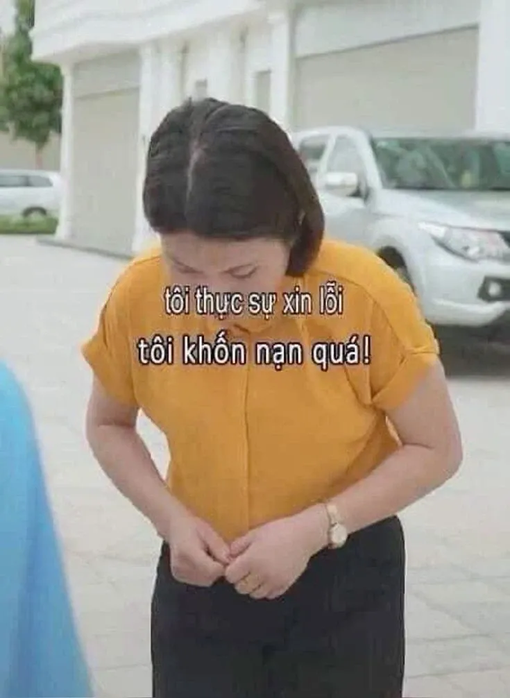 Meme xin lỗi 01