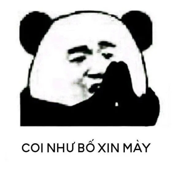 Meme xin lỗi 05