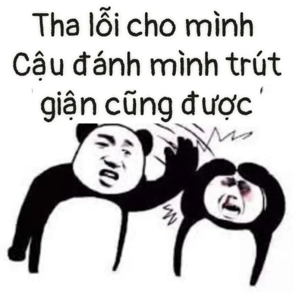 Meme xin lỗi 13