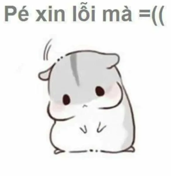 Meme xin lỗi 20