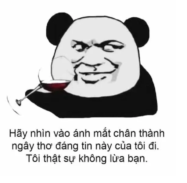 Meme xin lỗi 23