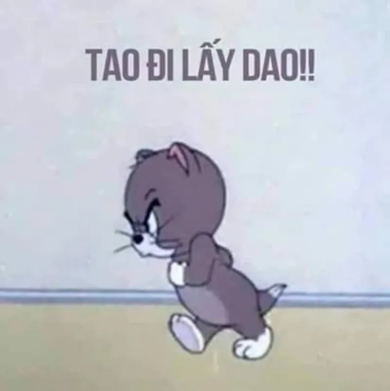 Meme tức giận 34