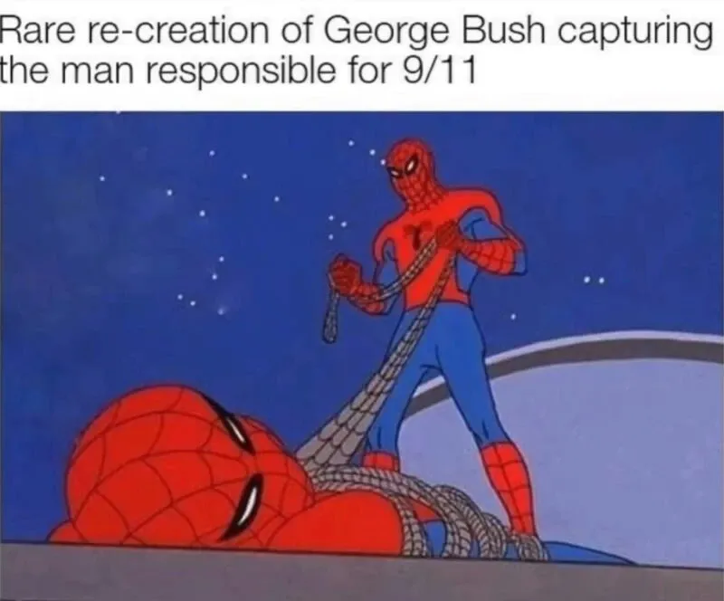 Meme spiderman 12