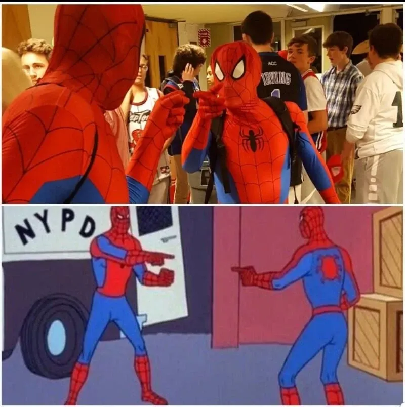 Meme spiderman 14