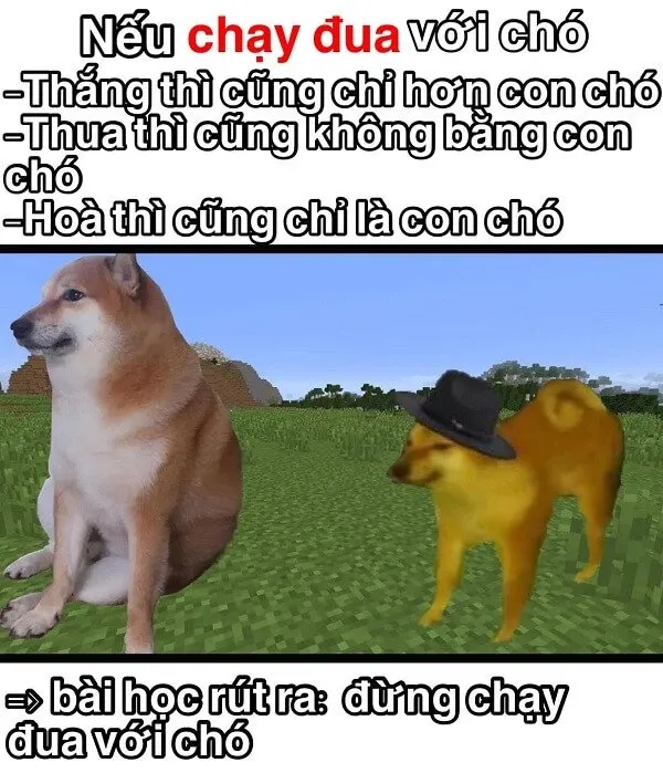 Shiba meme 17