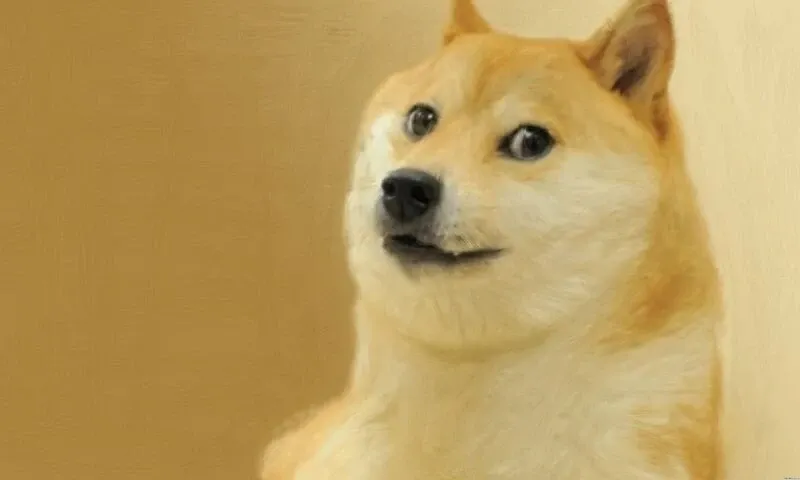 Shiba meme 30