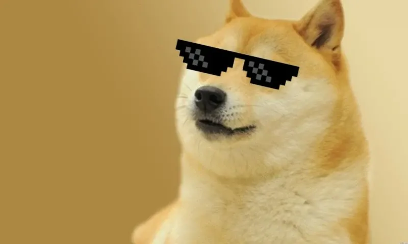 Shiba meme 31