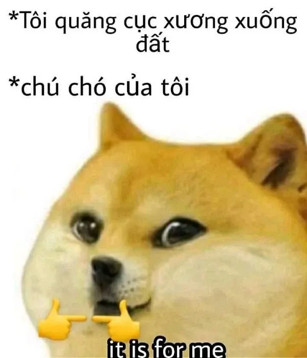 Shiba meme 36