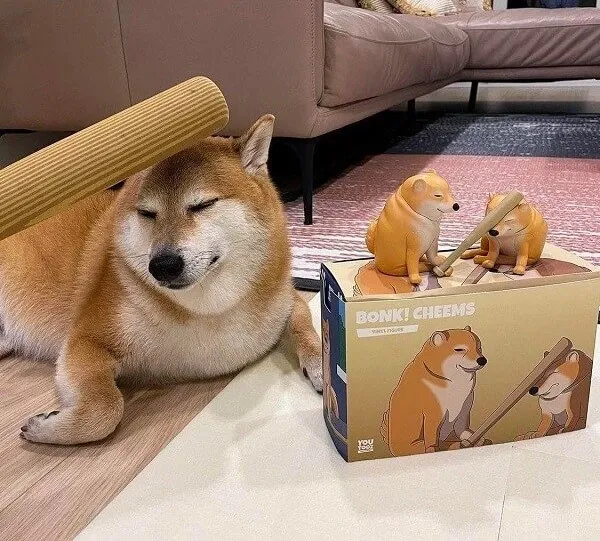 Shiba meme 38