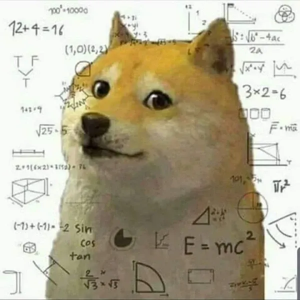 Shiba meme 44