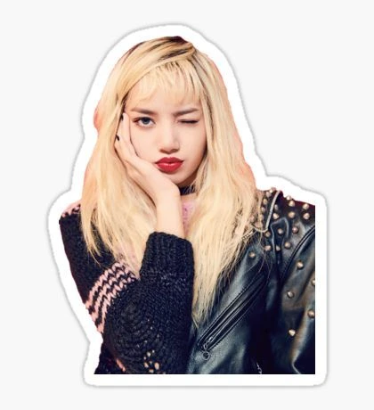 sticker blackpink 28