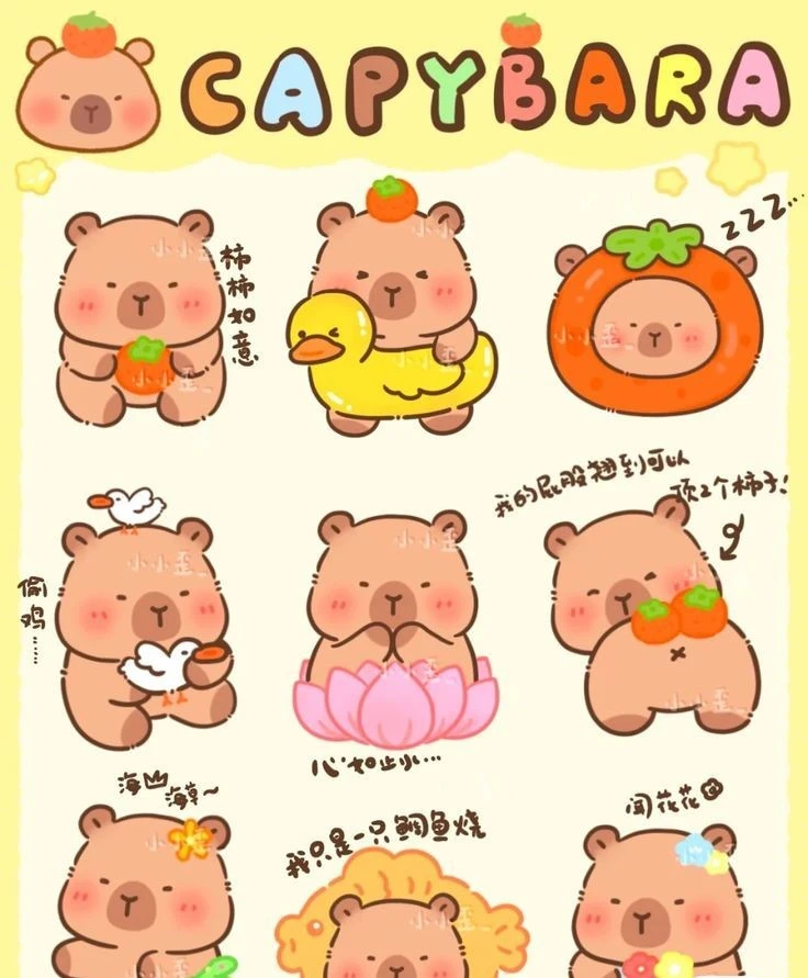 sticker capybara 26