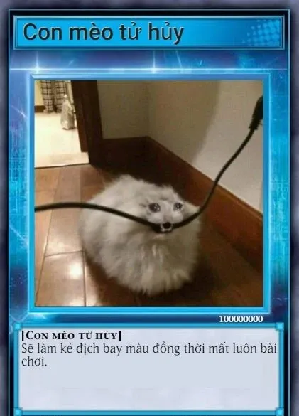 Yugioh meme 48